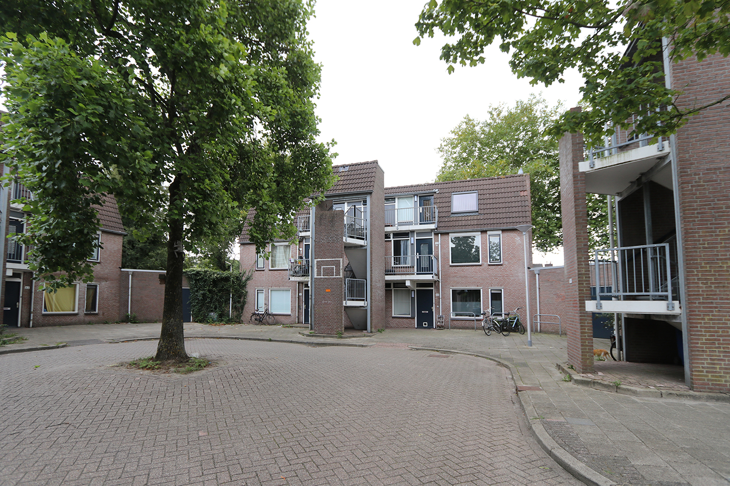 Moerbeistraat 58, 8021 ZD Zwolle, Nederland