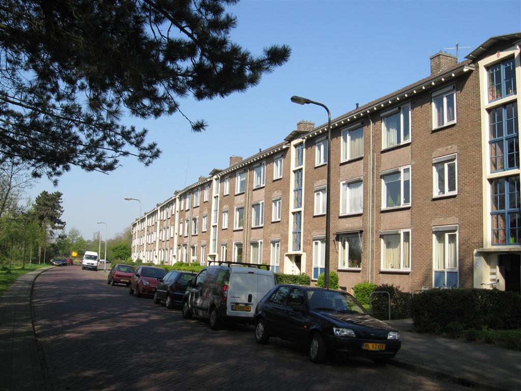 Mimosastraat 62