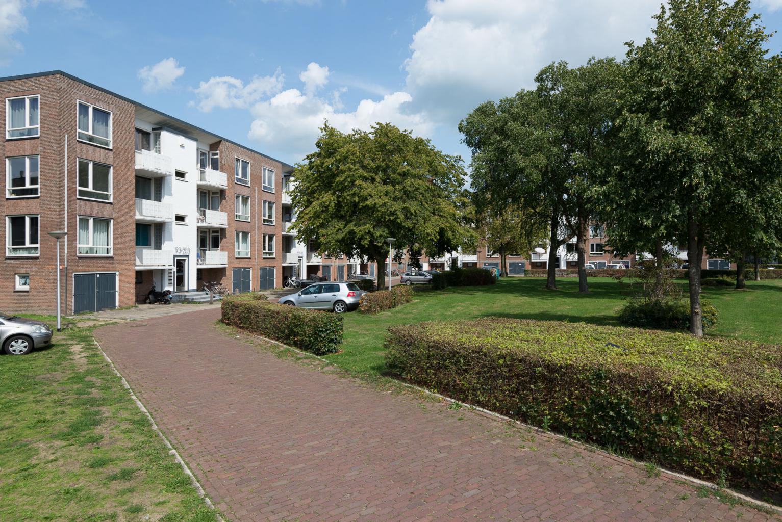 Pieter Steynstraat 215