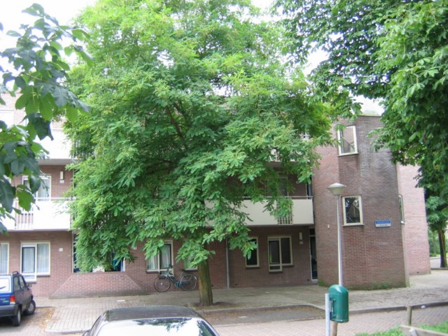 Schoolstraat 38, 8021 BN Zwolle, Nederland