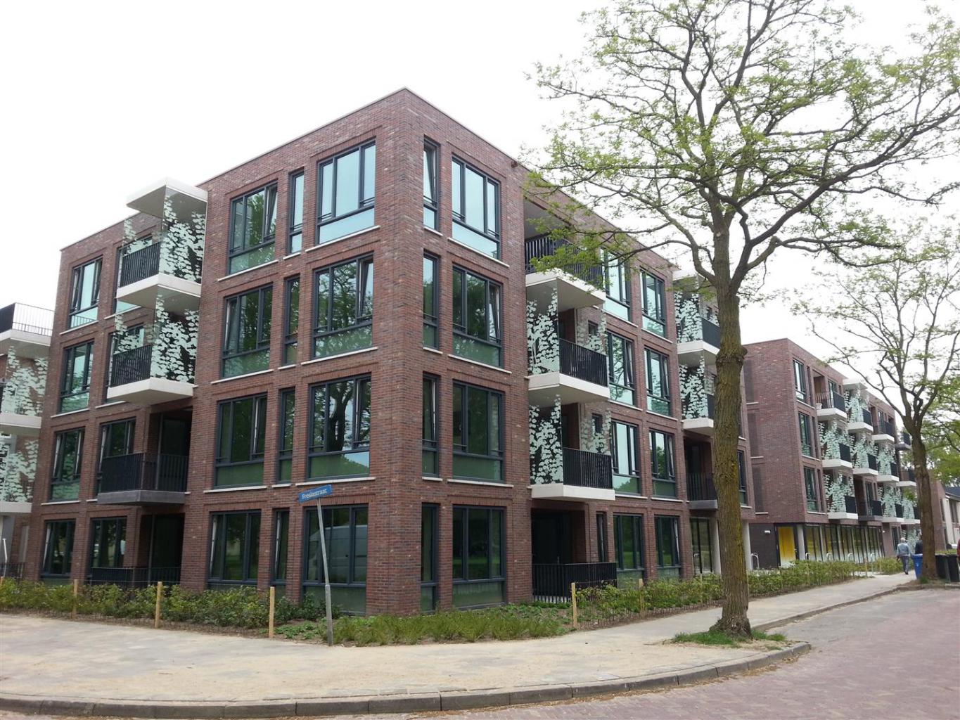 Mimosastraat 109, 8013 SJ Zwolle, Nederland