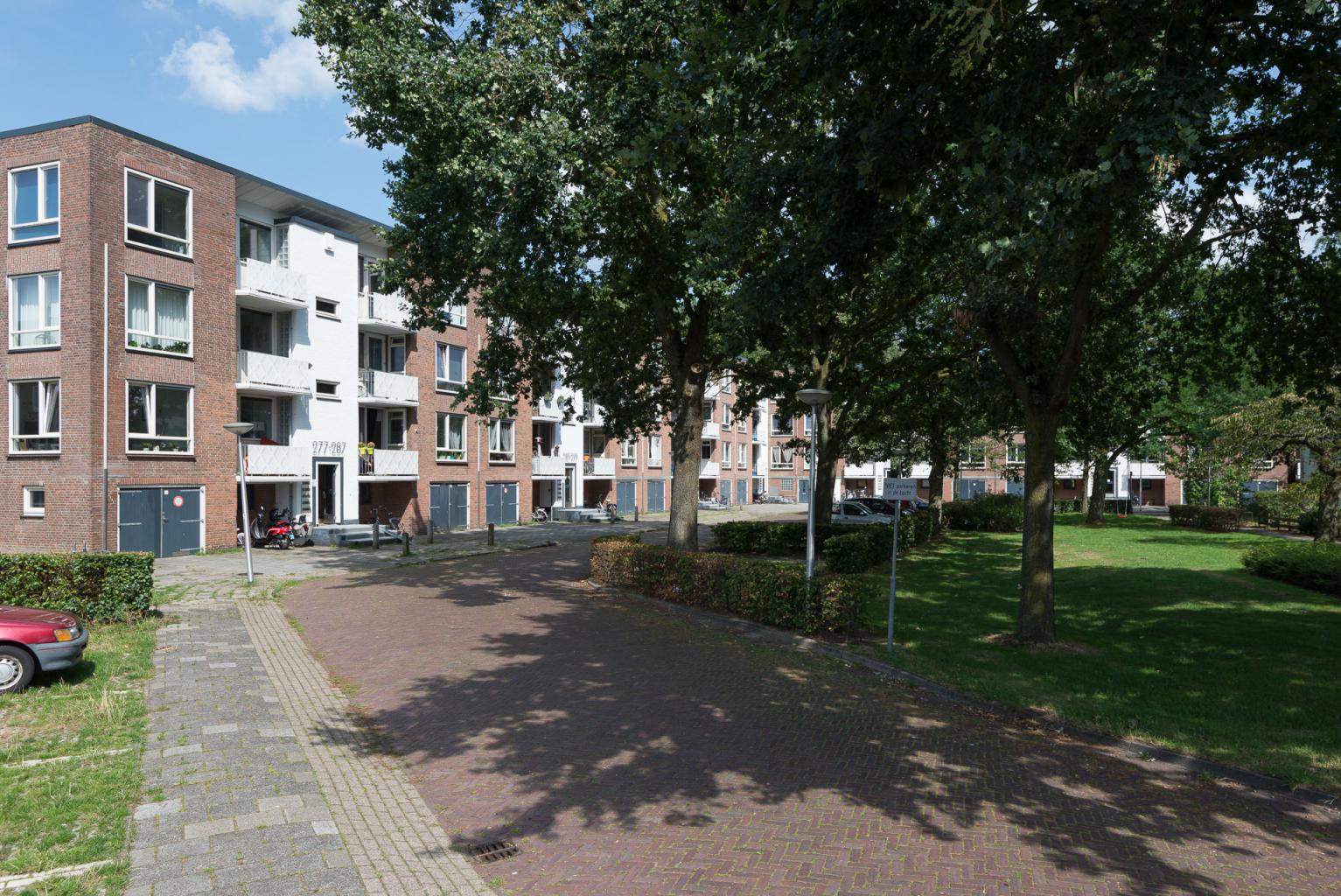 Apartment for rent: Pieter Steynstraat 329, Hogenkamp Zwolle